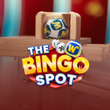 The Bingo Spot